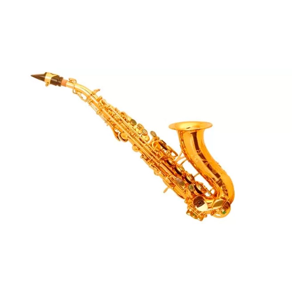 saxofone soprano curvo wisemann DSS C300