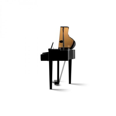 kawai dg30 lateral