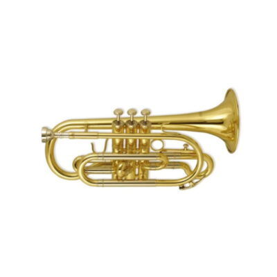 Cornetim Wisemann DCT-300 - Electromúsica