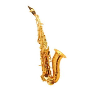 Saxofone Soprano Wisemann DSS-C300