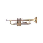 Trompete Wisemann DTR 200 1
