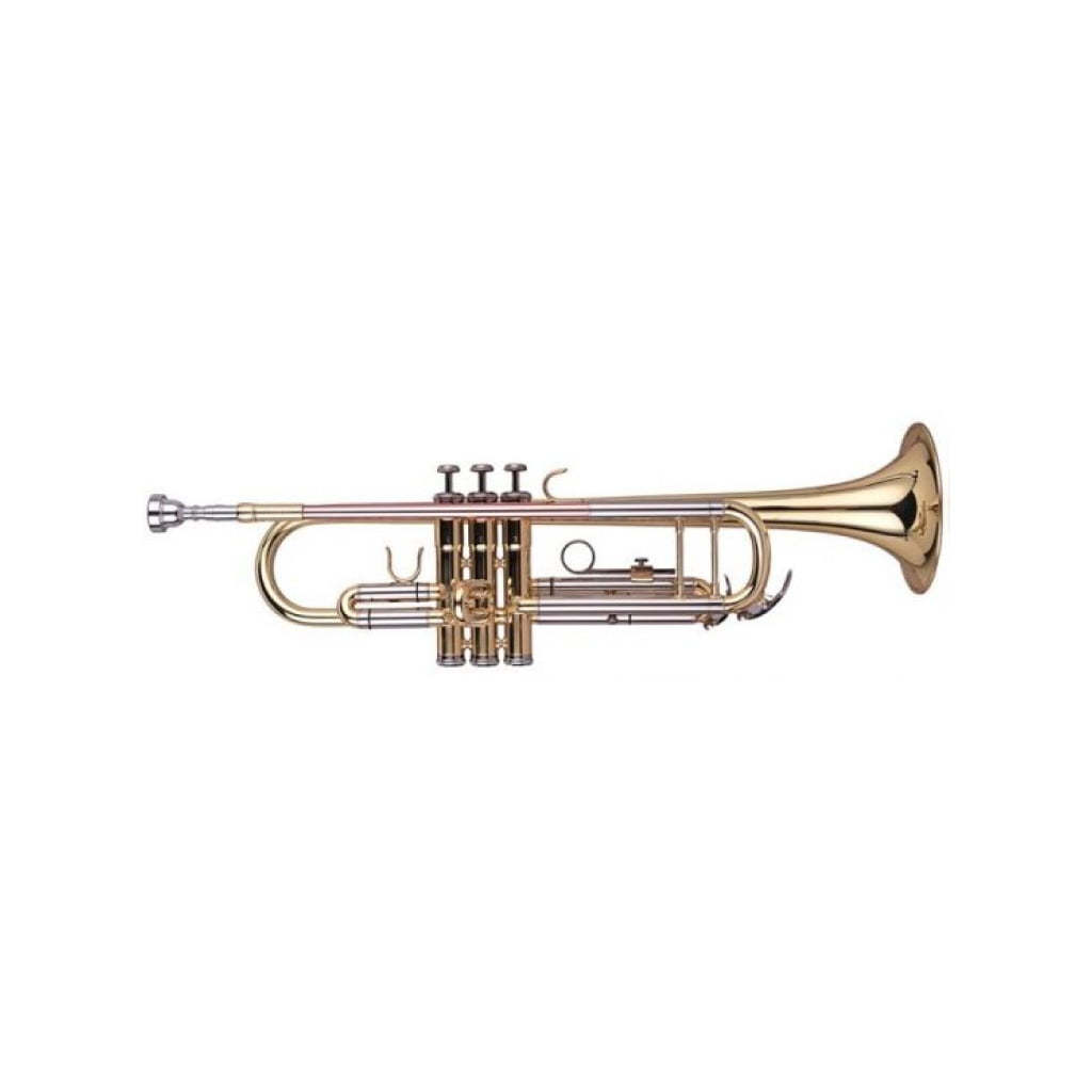 Trompete Wisemann DTR-200 - Electromúsica