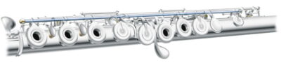 pearl 505re detalhe