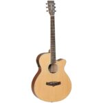 tanglewood TW9