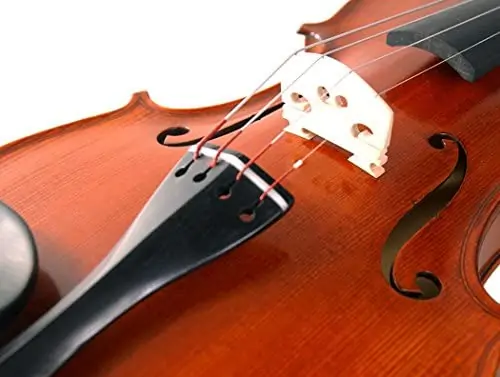 violino gliga gemes II estandarte