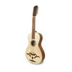 VIOLA BRAGUESA APC 250 - Electromúsica