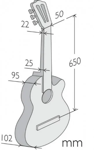 Guitarra Clássica Alhambra 3 C CW E1