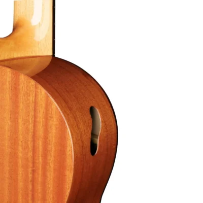 guitarra classica amano 4C dtail