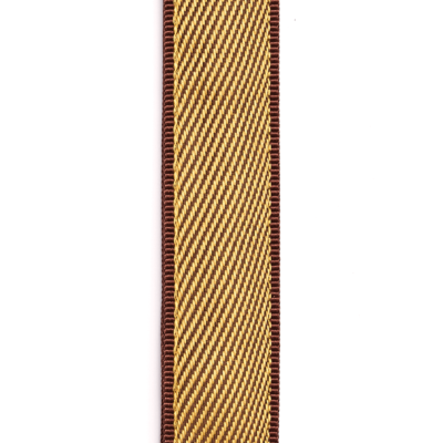 Correia Guitarra D'Addario Sarja 50B06