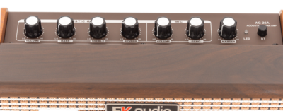 Amplificador Guitarra Acústica EK Audio AG26A 25W