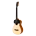 icone venezuelano