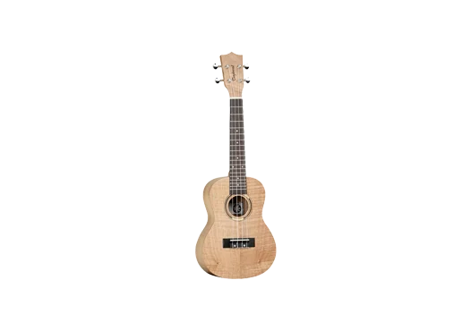 Instrumentos do Mundo