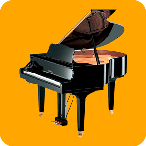 Pianos Acústicos Híbridos de Cauda