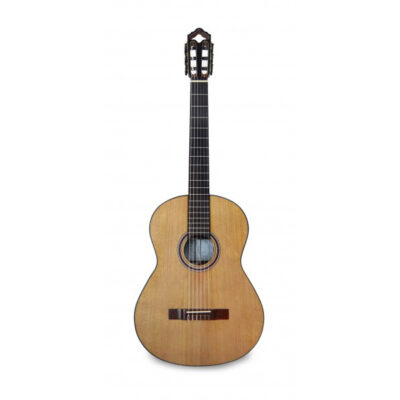 Guitarra Clássica APC 9C