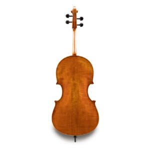 Eastman_cello_702_back