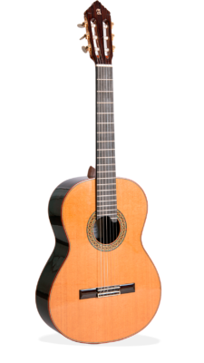 premier pro madagascar