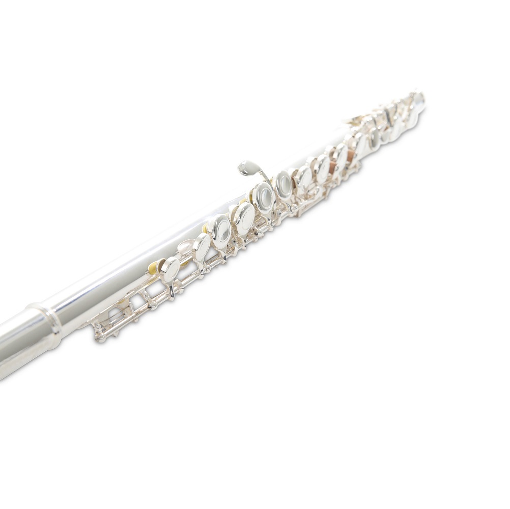 Armstrong FL650E2 84115 Armstrong FL650E2 84115