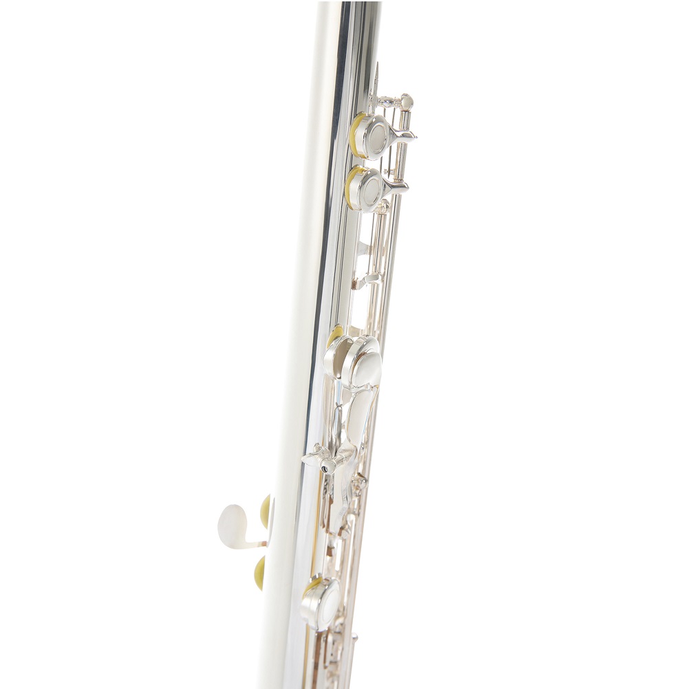 Armstrong FL650E2 84118 Armstrong FL650E2 84118