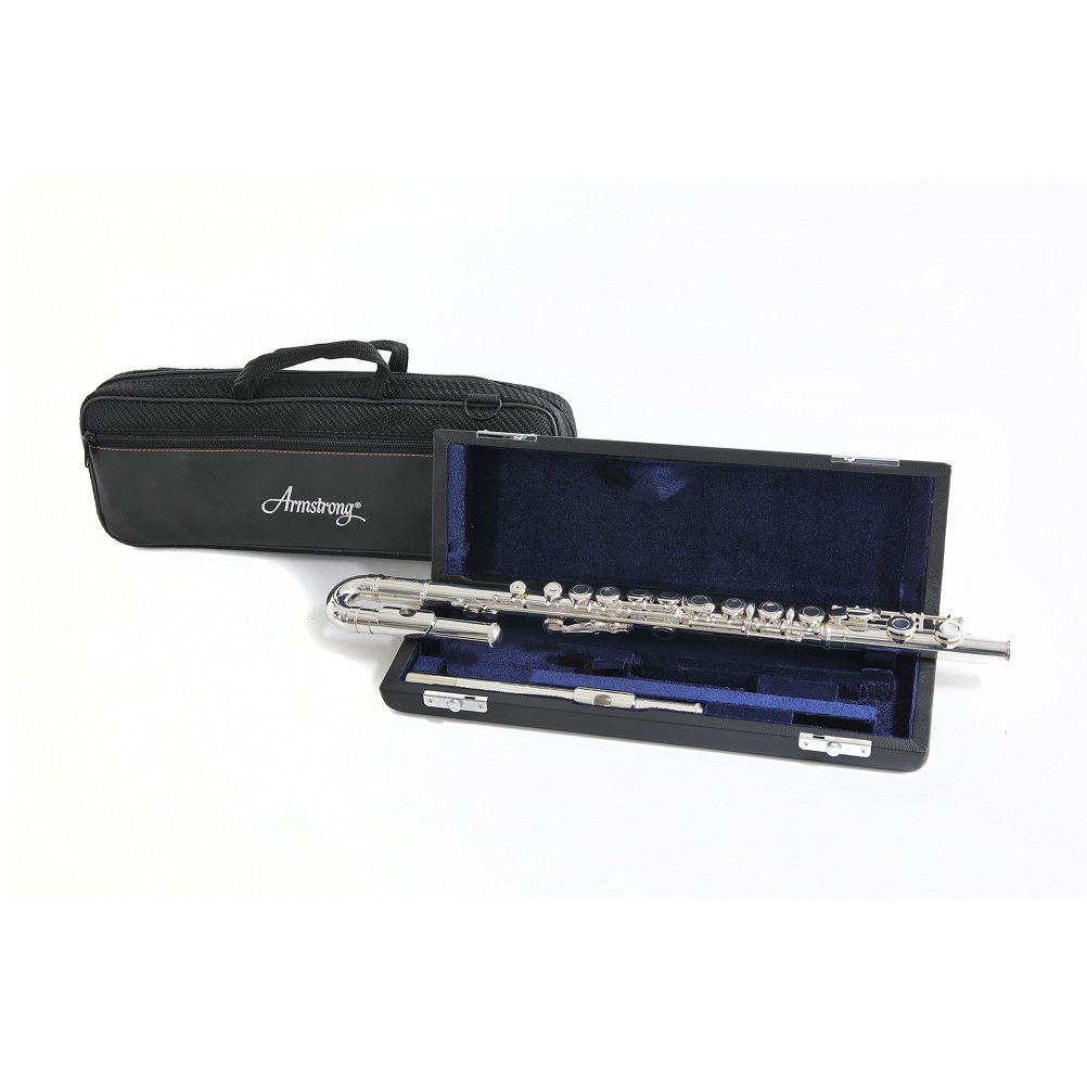 Armstrong FL650E2 84121 Armstrong FL650E2 84121