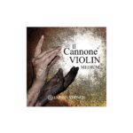 violin set with e ball end il cannone medium 1