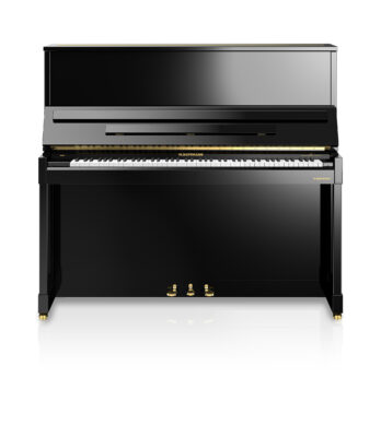 WH V8 black frontal web