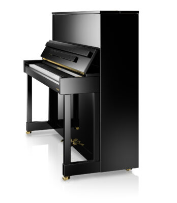 WH V8 black sideview web