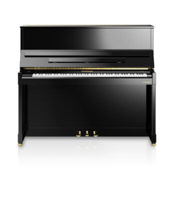 WH V6 black frontal web