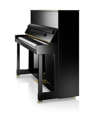 WH V6 black side view web