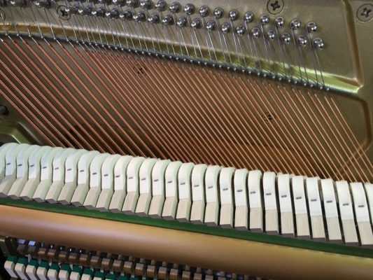 Bordões de um piano B3 novo